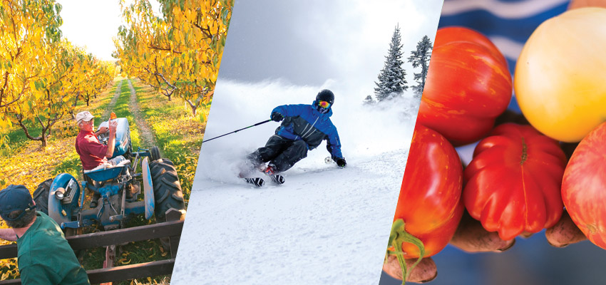 Yakima Valley Seasonal Trip Ideas