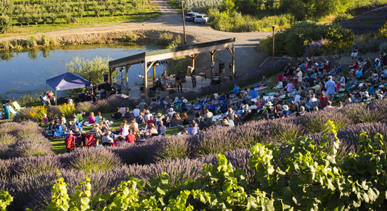 Yakima Valley Wine Country Festivals and Events